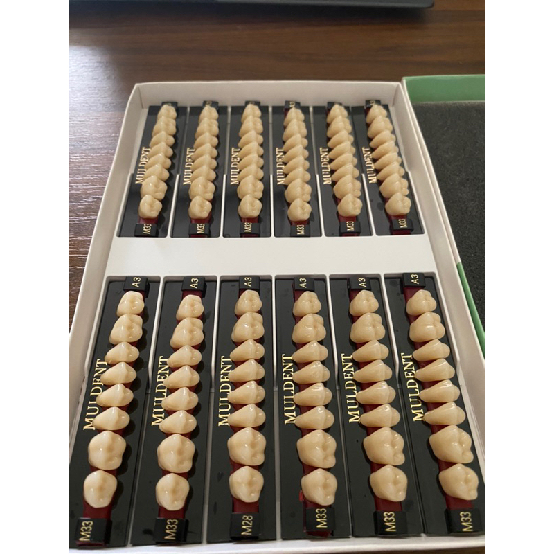 gigi muldent geraham 1box isi 12 papan