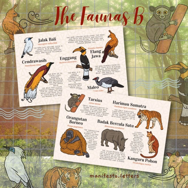 

Postcard The Faunas B | Kartupos Hewan Indonesia | Satwa | Burung | Mamalia