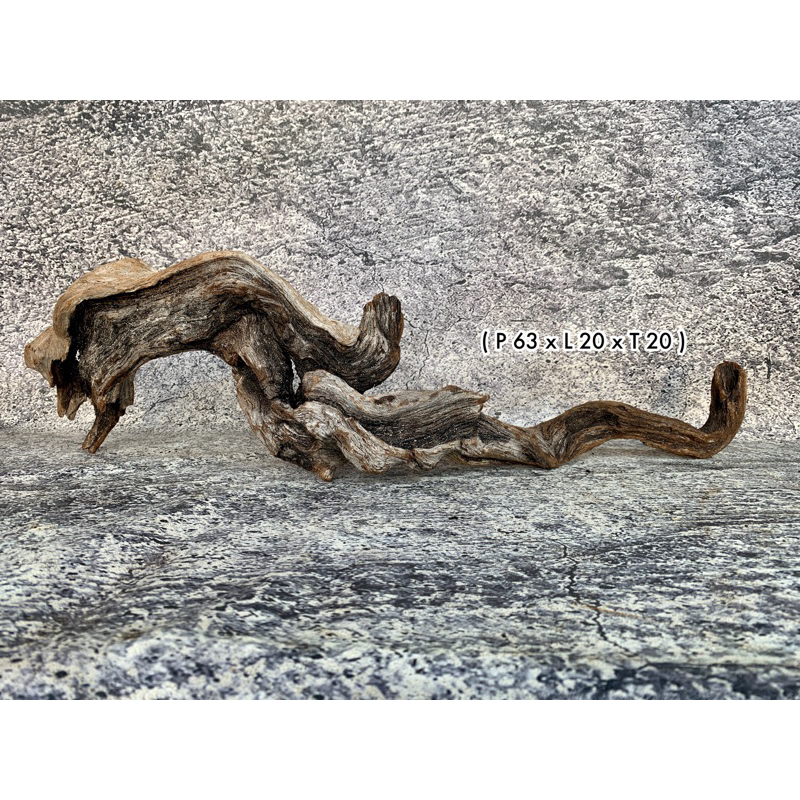 Kayu Santigi Laut Aquascape