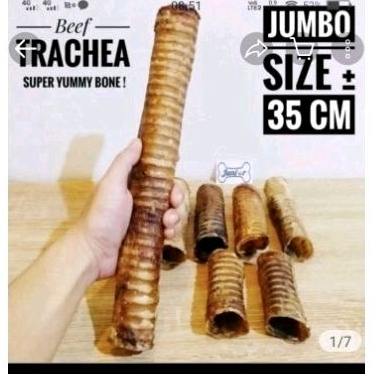 

Beef Trachea
