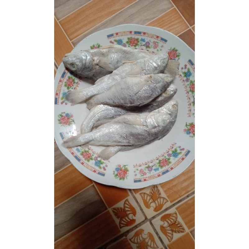 

ikan asin kepala batu
