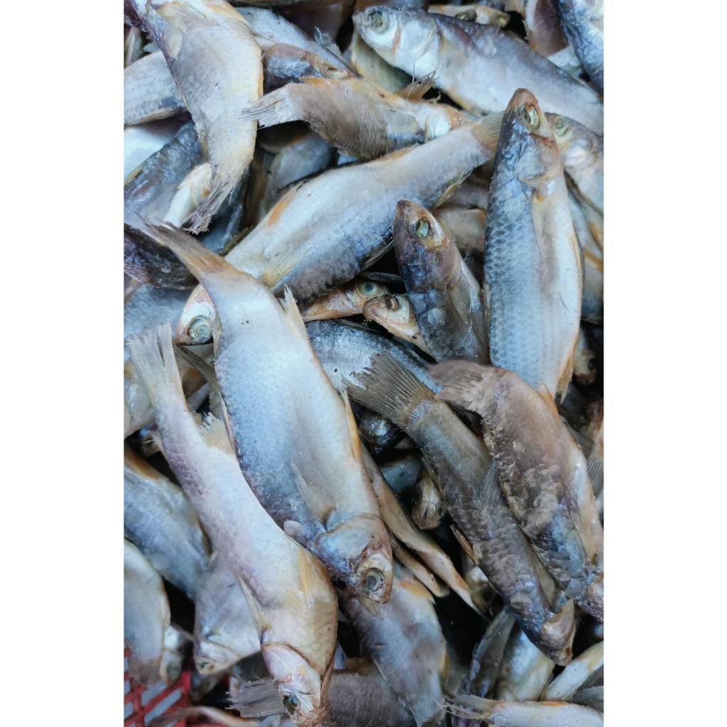 

Ikan Asin Belanak / Padhet KECIL