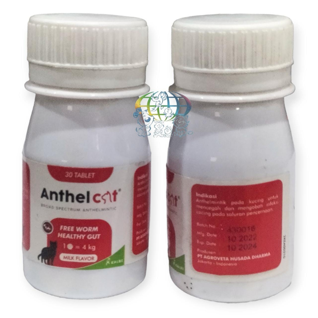 Anthel Cat Kalbe Farma Obat Cacing Kucing per 1 Tablet