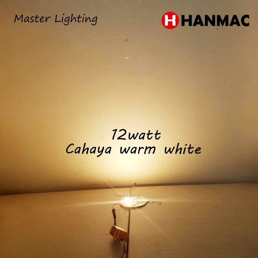 Lampu mata chip led 12w DC bridglux cob hpl downlight warm white trafo DC24-45V 300ma