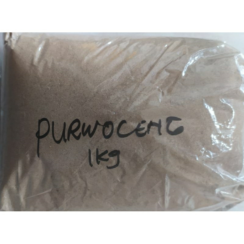 

Purwoceng bubuk 1kg | akar purwoceng bubuk murni original