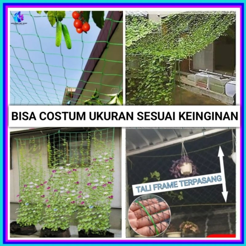 Jaring tanaman rambat buah/Jaring rambatan tanaman/Jaring tanaman merambat