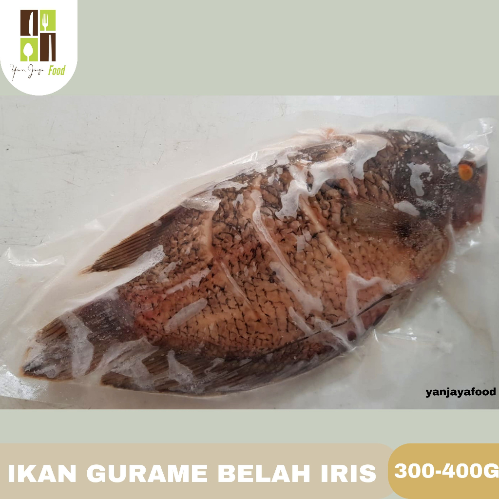 Ikan Gurame Segar / Sudah Bersih / Fresh / Siap Masak / Vakum 400-500g