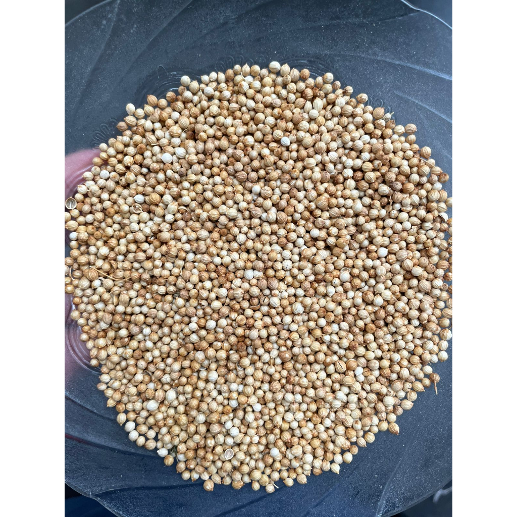 

Ketumbar Kuning 1000gr (1kg) FRESH!