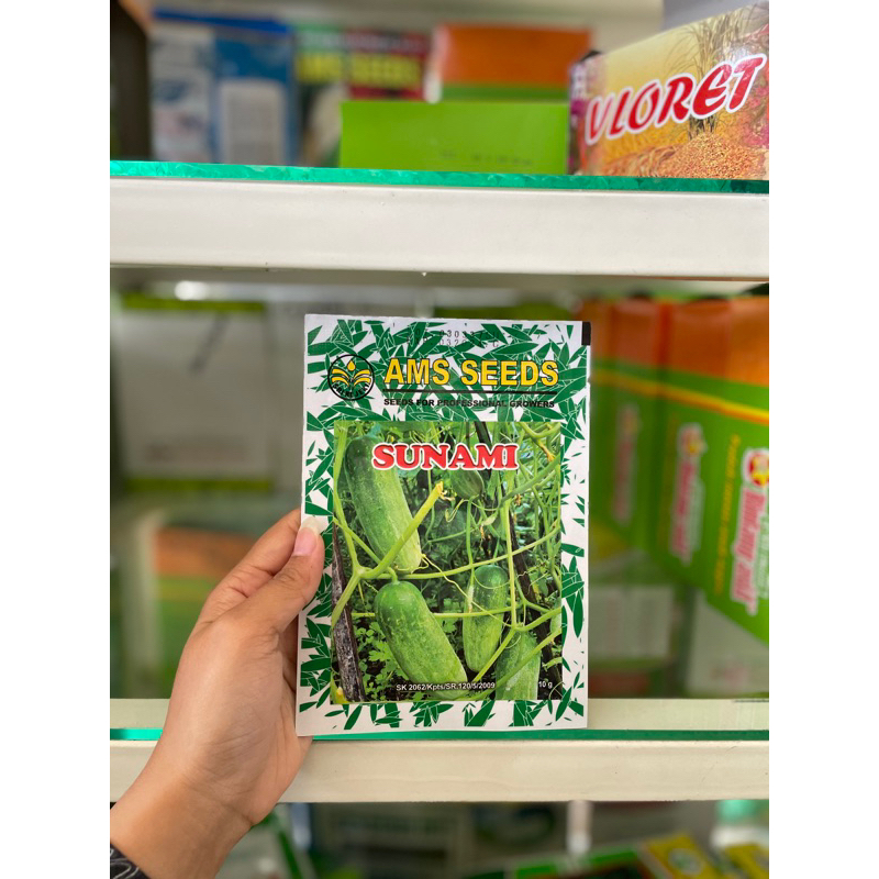 Benih Timun Sunami/ Mentimun SUNAMI