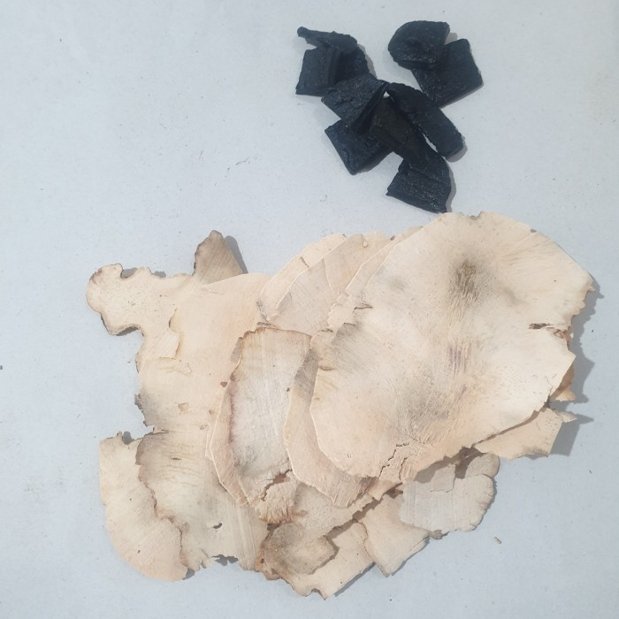 

chete tohok / shengdi tufuk / shenti tufuk /sengti tufuk