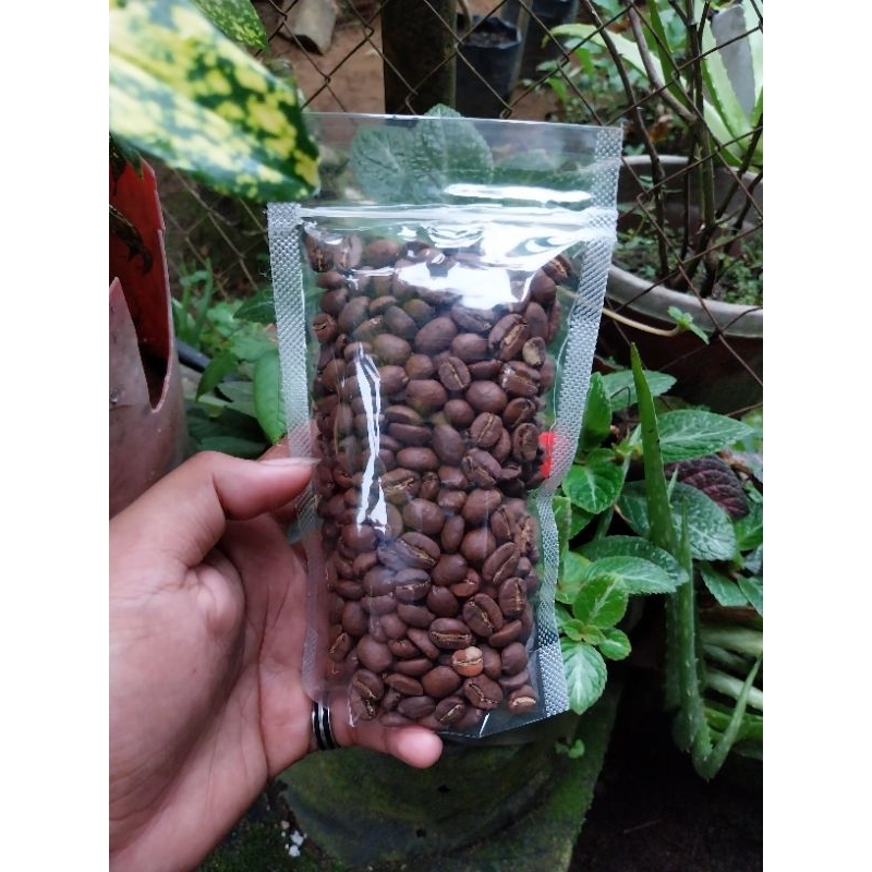 

ArabikaGayo