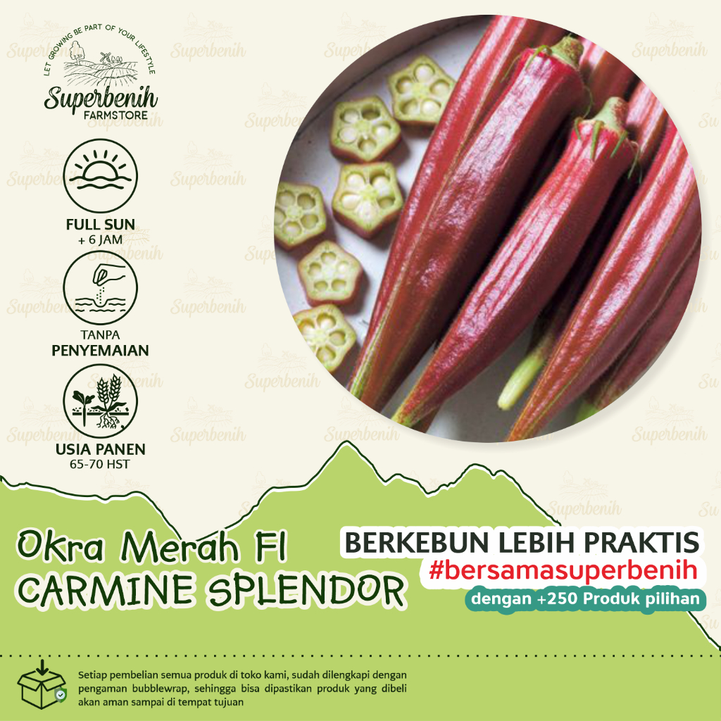 5 Biji - Benih Okra Merah CARMINE SPLENDOR F1