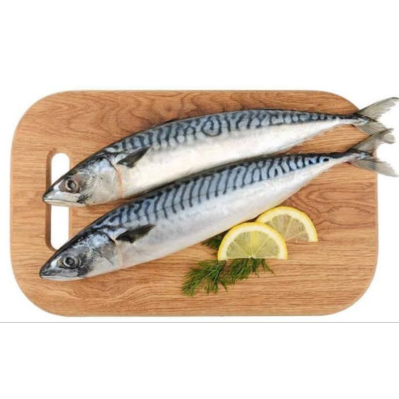 

BSM | TERMURAH Ikan Tenggiri Segar 500gr - 1kg / Ikan Tenggiri Fresh