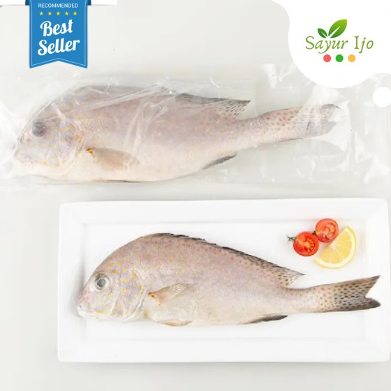 

Ikan Kaci - Kaci 400 - 500 Gram / Pack Fresh Frozen Seafood Laut Daging Segar