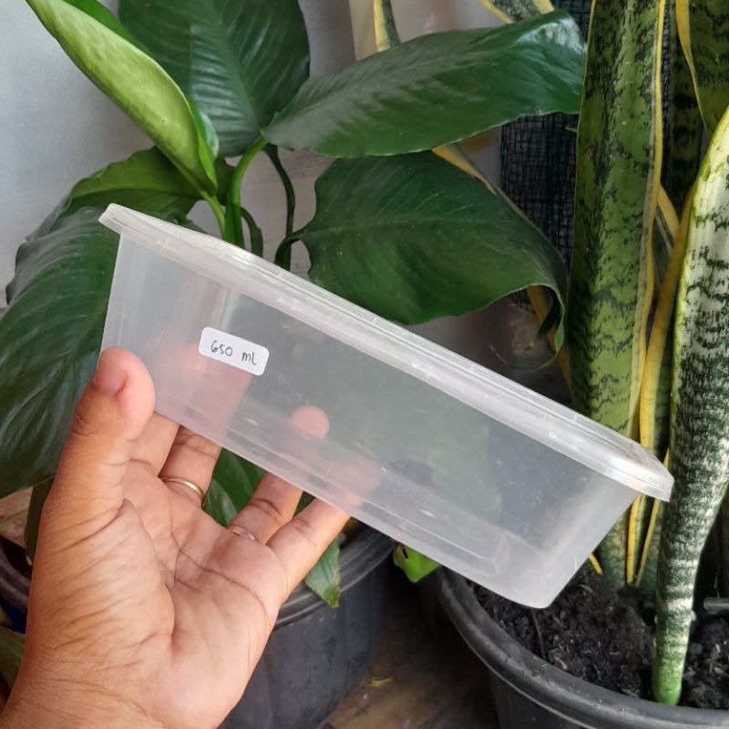 THINWALL 650 ML MICROWAVE OVEN SAFE