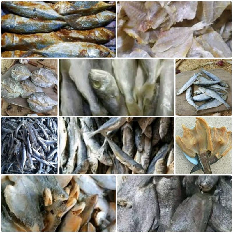

Aneka ikan asin/Ikan Asin Kapasan/Ikan asin Tembang/Ikan asin Tawes/Ikan asin Gabus/Ikan asin Sepat/Ikan asin Layang Asin/Ikan asin Peda