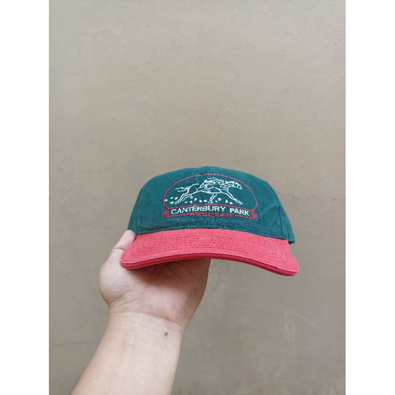 Vintage dad hat two tones centerbury park