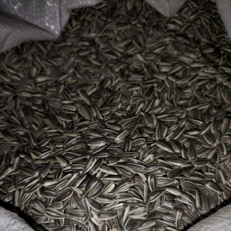 

kwaci per kg / kuaci per kg