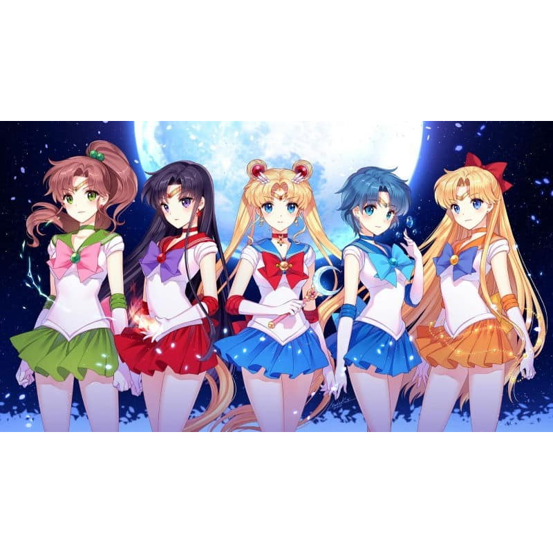 Sailor Moon : Completed Series, tamat (1992-1993)