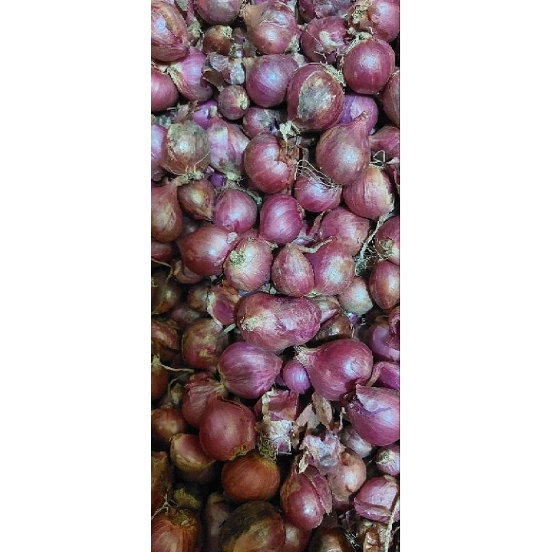 

Bawang Merah brebes Super