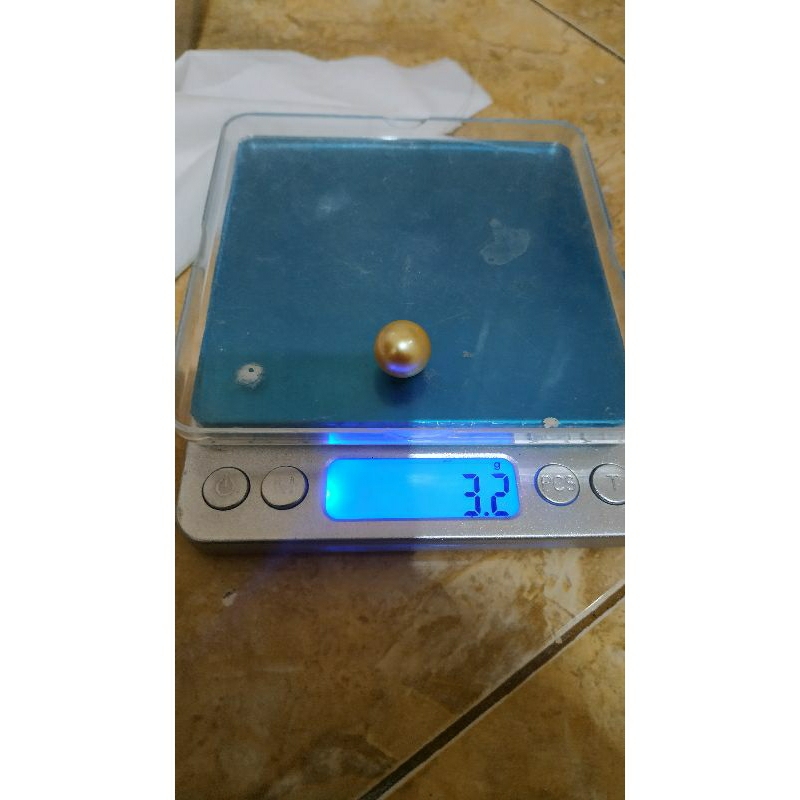 liontin emas emas model simple mutiara air laut