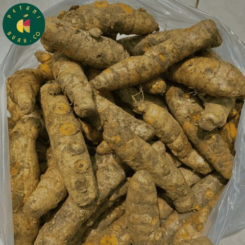 

Kunyit Kuning/Bahan Rempah Bumbu Dapur 1kg
