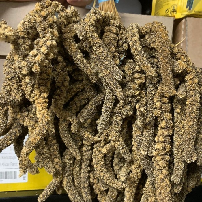 JEWAWUT TANGKAI HITAM 500 GR JEWAWUT GANTUNG MAKANAN FINCH PARKIT LB DLL