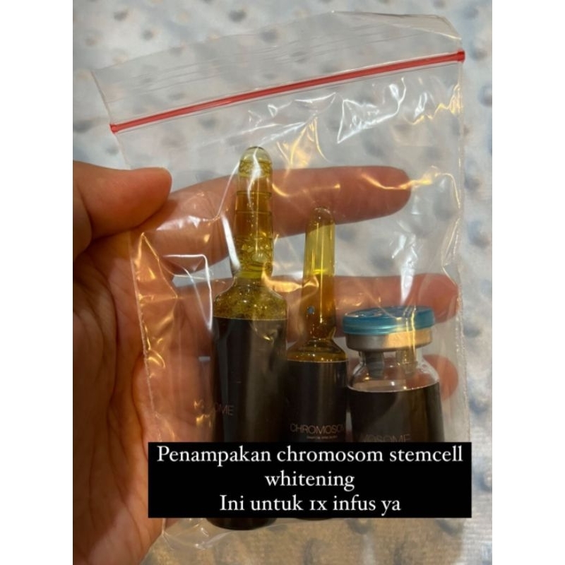 infus whitening stemcell kromosome cromosome