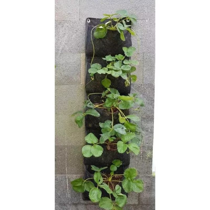 Wall Planter Bags Dinding Kantong Vertical Garden 5 Lubang