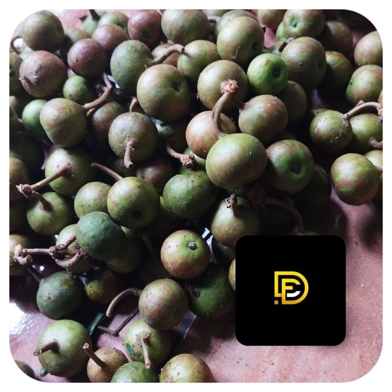 

Buah gondang buah kondang segar 500 gram-az