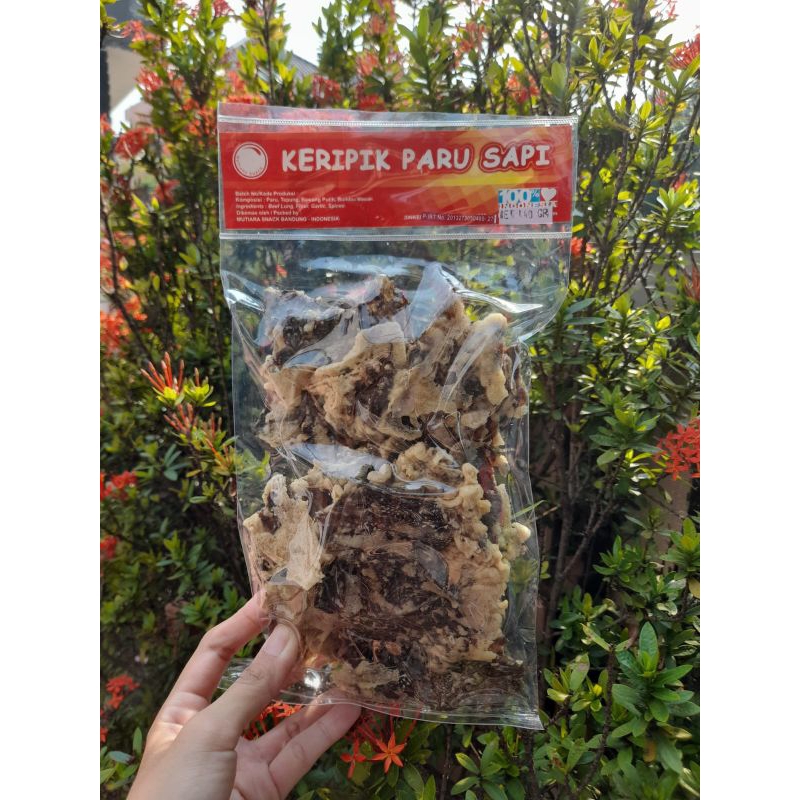 

KERIPIK PARU