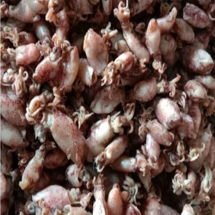 

BABY CUMI PREMIUM/GURIH/NIKMAT/ENAK LEZAT 250GR