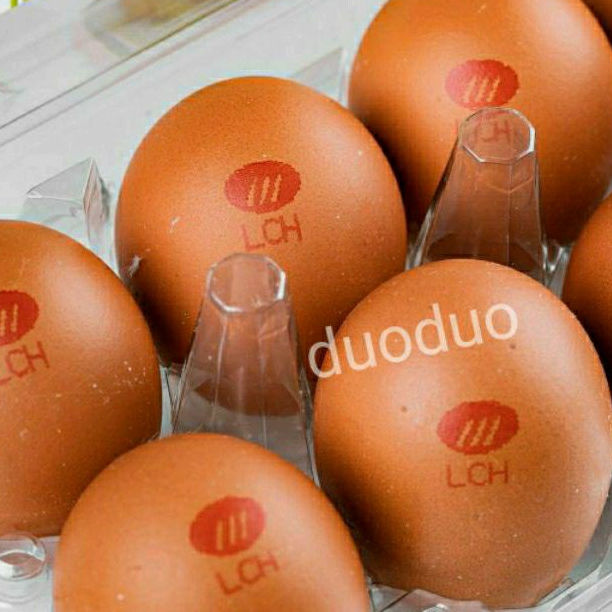 

Telur Ayam LCH ( isi 10) Mabar Telur Low Cholesterol