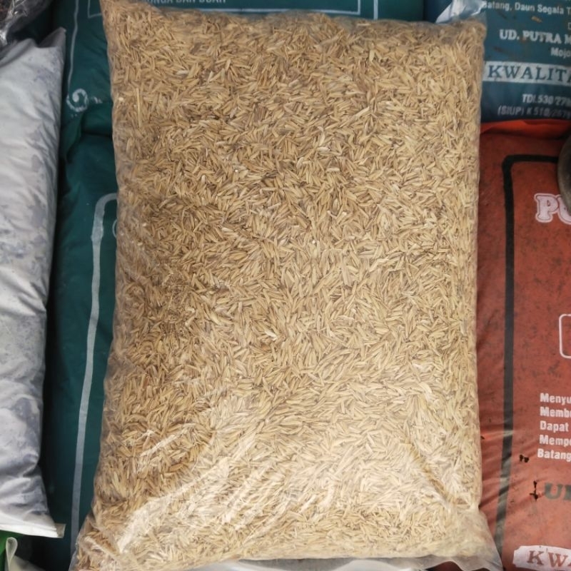 Sekam Mentah ±1kg - 1,2kg