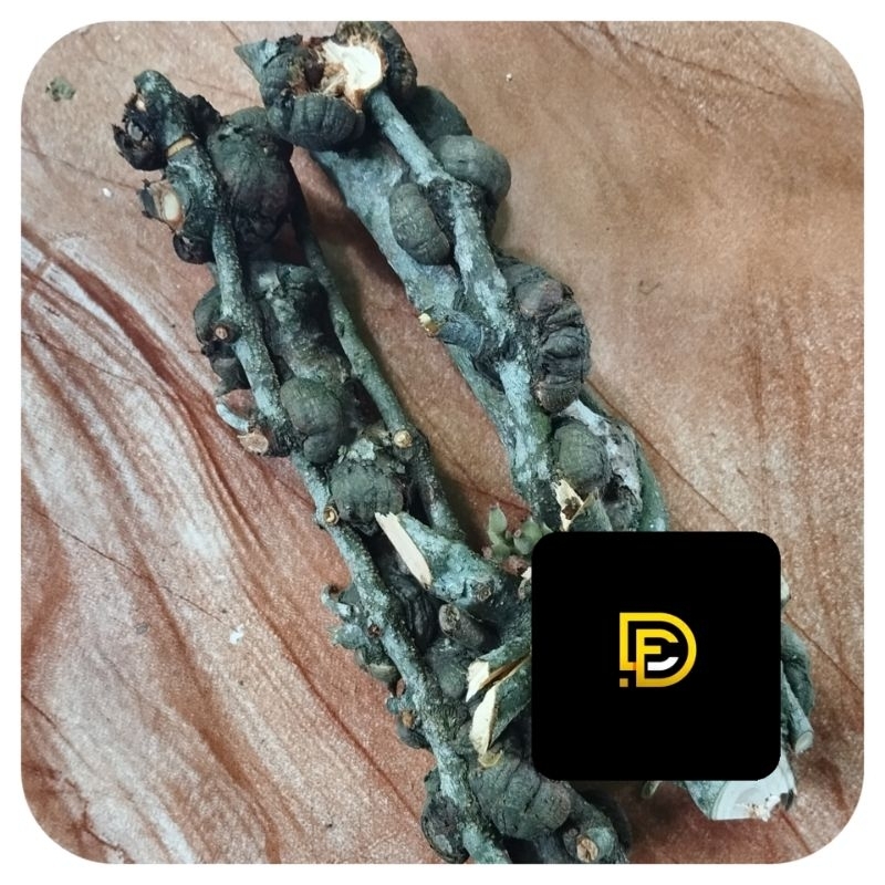 

Akar benalu jeruk segar 400 gram-az
