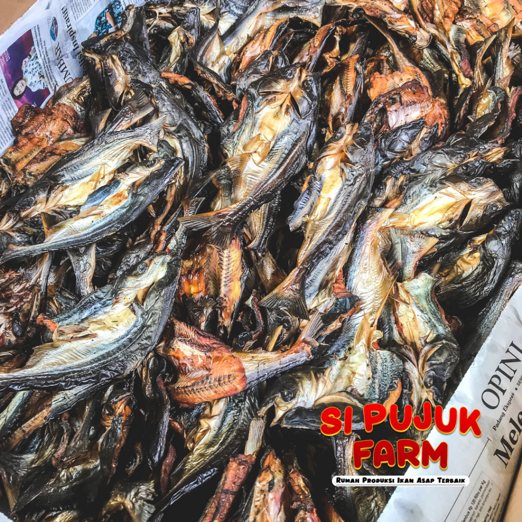 

Ikan Salai Patin Si Pujuk 100 Gram