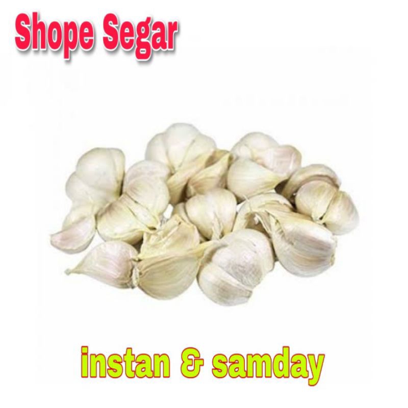 Bawang Kating Bawang Putih Kating