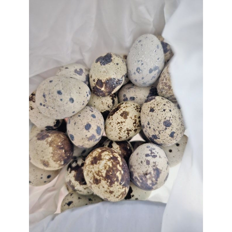 

Telur Puyuh 1/2kg