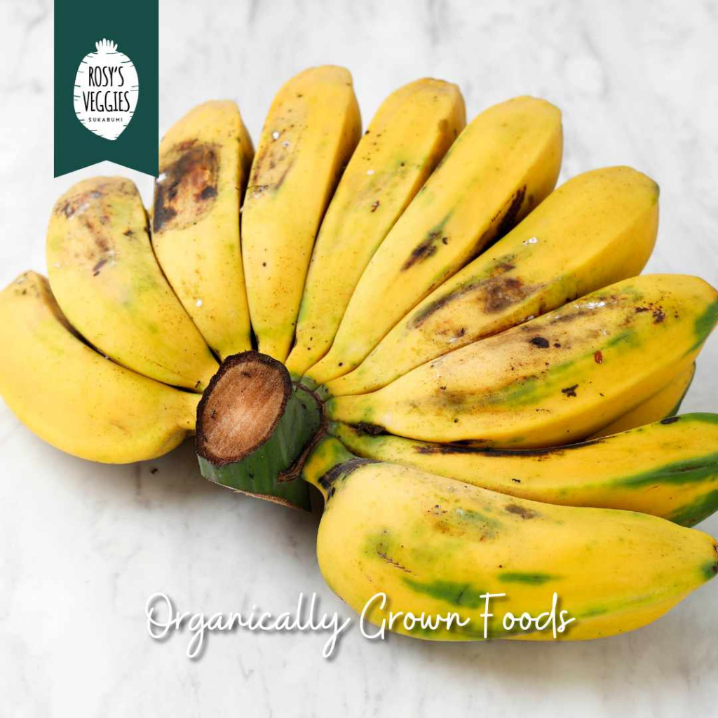 

Pisang Kepok Organik | 1 kg