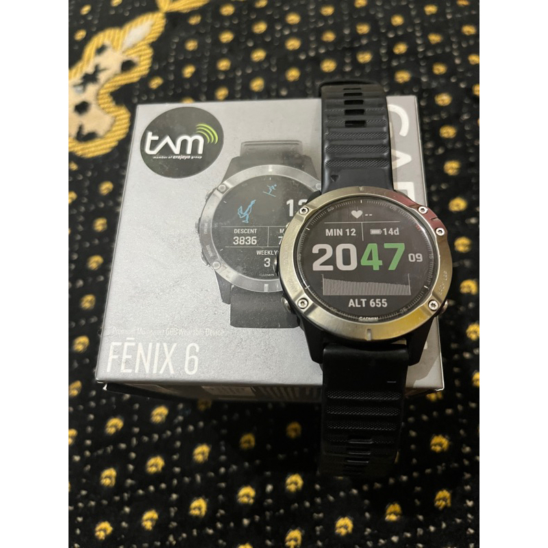 garmin fenix 6 silver