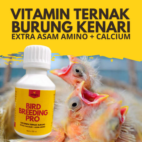 Vitamin Ternak Burung Kenari / Vitamin Ternak Kenari / Vitamin Breeding Kenari / Obat Breeding Kenar