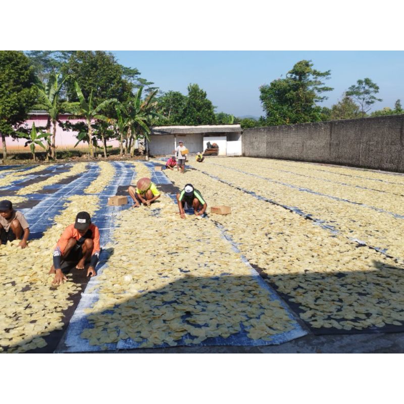 

emping rasa original