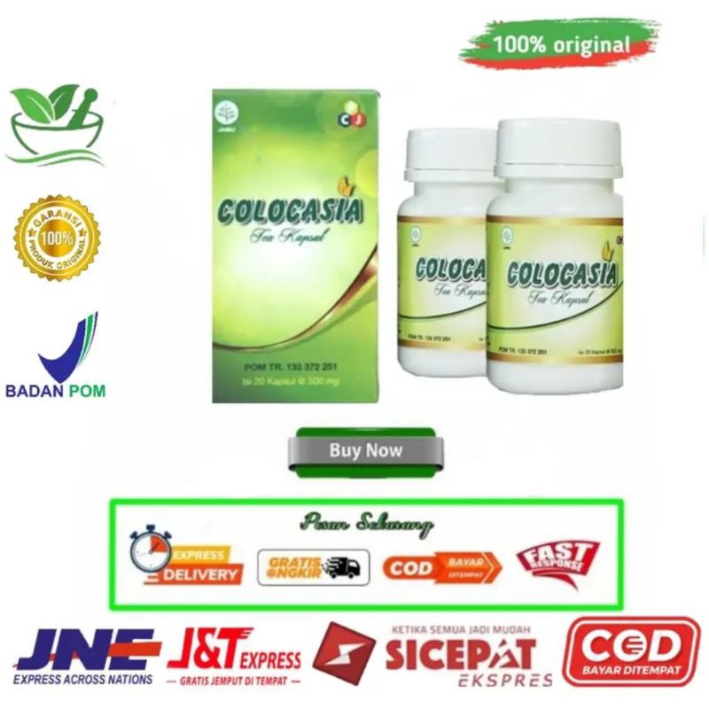 Obat Pereda Nyeri Colocasia Asli 100%