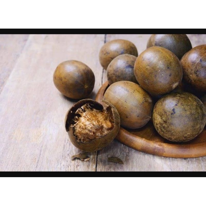 

lohanko herbal minum