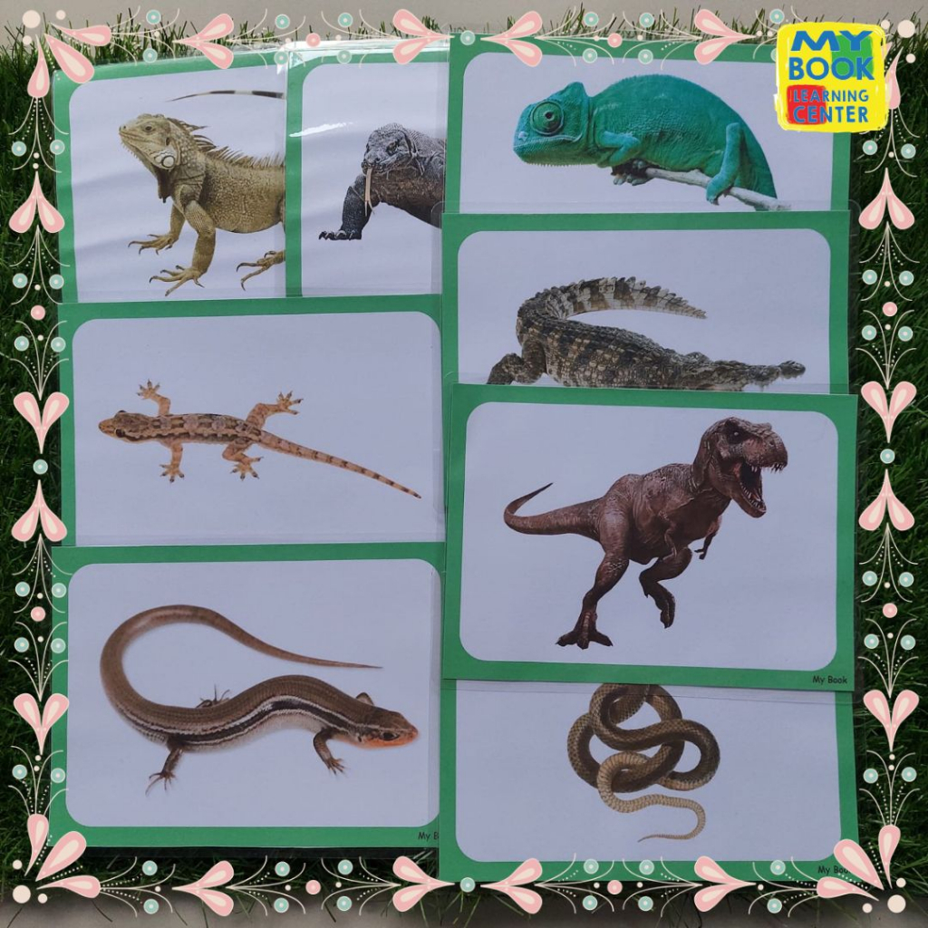 

Kartu Mainan Edukasi Anak // Flashcards SIZE JUMBO Tema Hewan Reptil // Reptile 3 Bahasa untuk anak umur 1-6 tahun