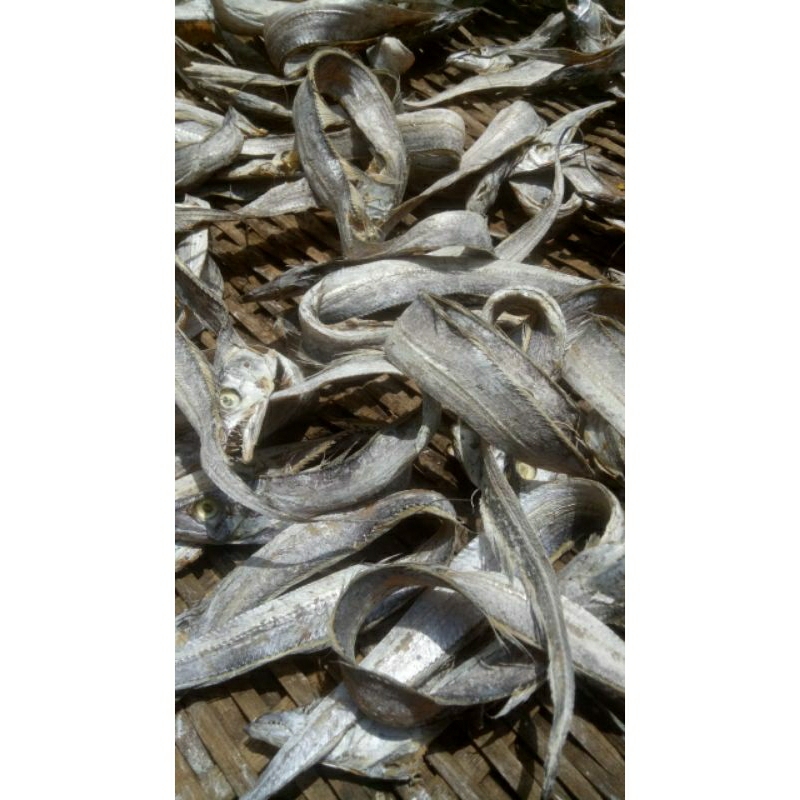 

IKAN ASIN LAYUR