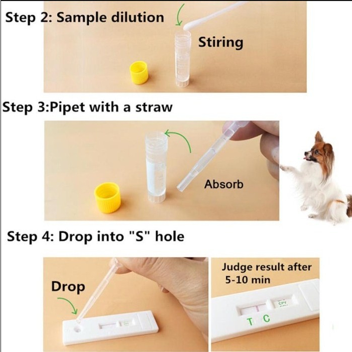 ALAT TEST KIT VIRUS KUCING