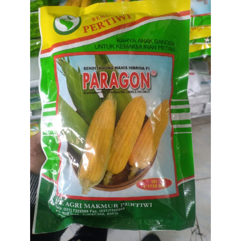 Benih Jagung Manis Paragon