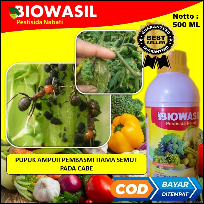 Cod Murah Langsung Kirim Pupuk Terbaik Biowasil Pestisida Nabati 500 Ml Pupuk Ampuh Membasmi Hama se