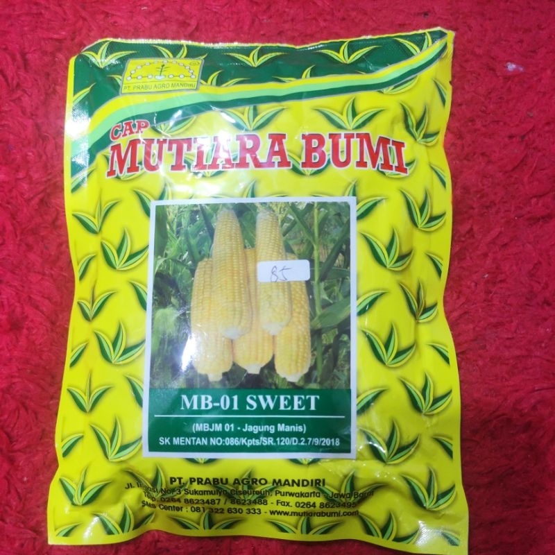 

jagung manis MB-01 SWEET cap mutiara bumi